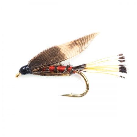 Hardy Favourite Wet Fly